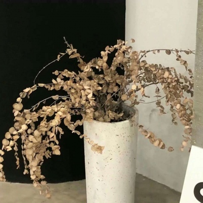 兽设草原场景绘制福瑞交流群